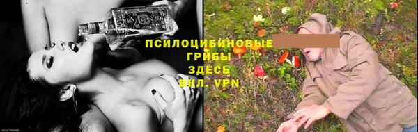 шишки Горно-Алтайск