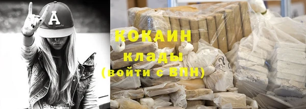 шишки Горно-Алтайск