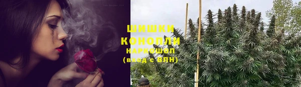 шишки Горно-Алтайск