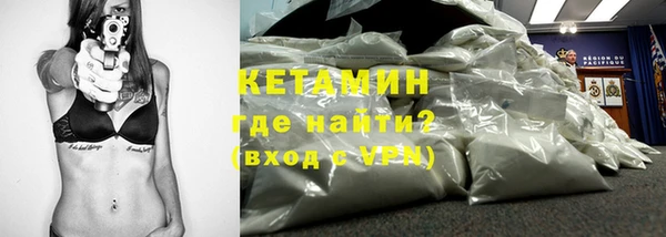 шишки Горно-Алтайск