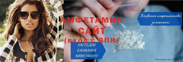 шишки Горнозаводск