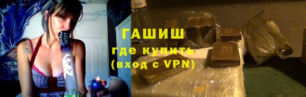 шишки Горно-Алтайск