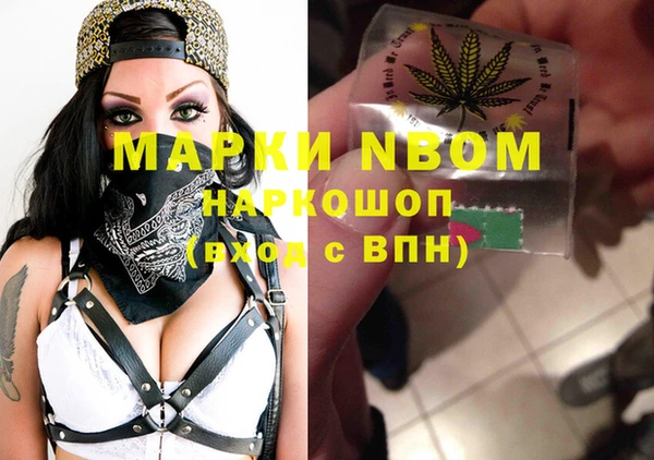шишки Горнозаводск