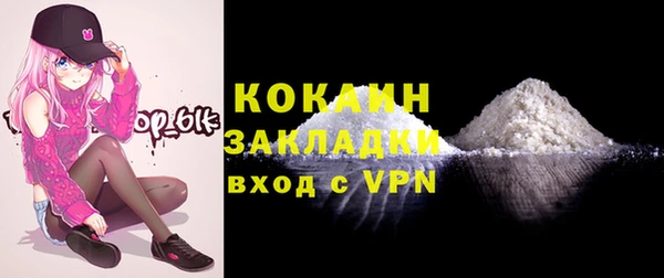 шишки Горно-Алтайск