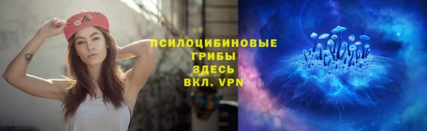 шишки Горнозаводск