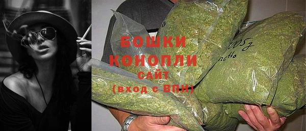 шишки Горнозаводск