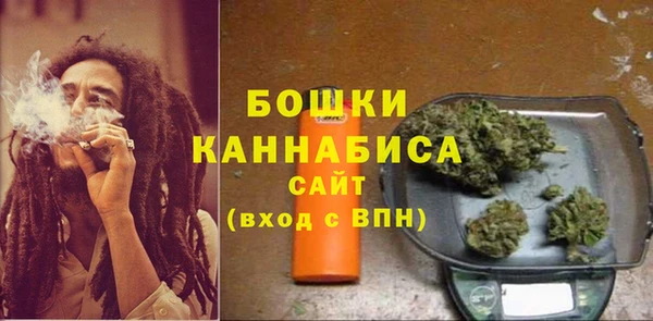 шишки Горнозаводск