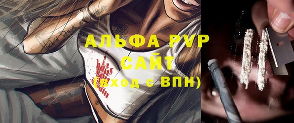 шишки Горно-Алтайск