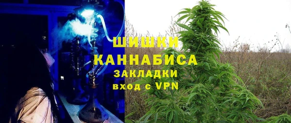 шишки Горно-Алтайск