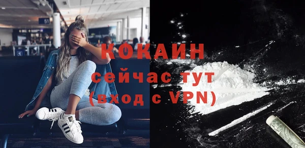 шишки Горнозаводск