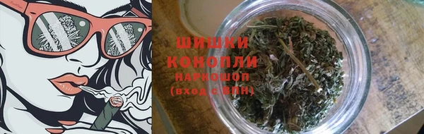 шишки Горно-Алтайск