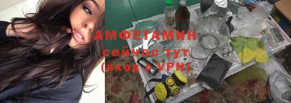 шишки Горнозаводск