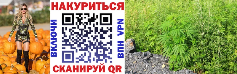 Каннабис Ganja  Владимир 
